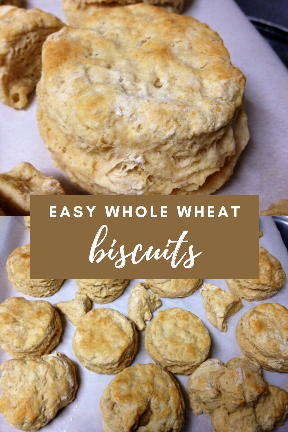 Easy Whole Wheat Biscuits | These biscuits are fluffy, delicious, and easy to make, come together in minutes! Perfect for brunch, biscuits and gravy, and so much more. #biscuits #quickbread #wholewheat #brunch