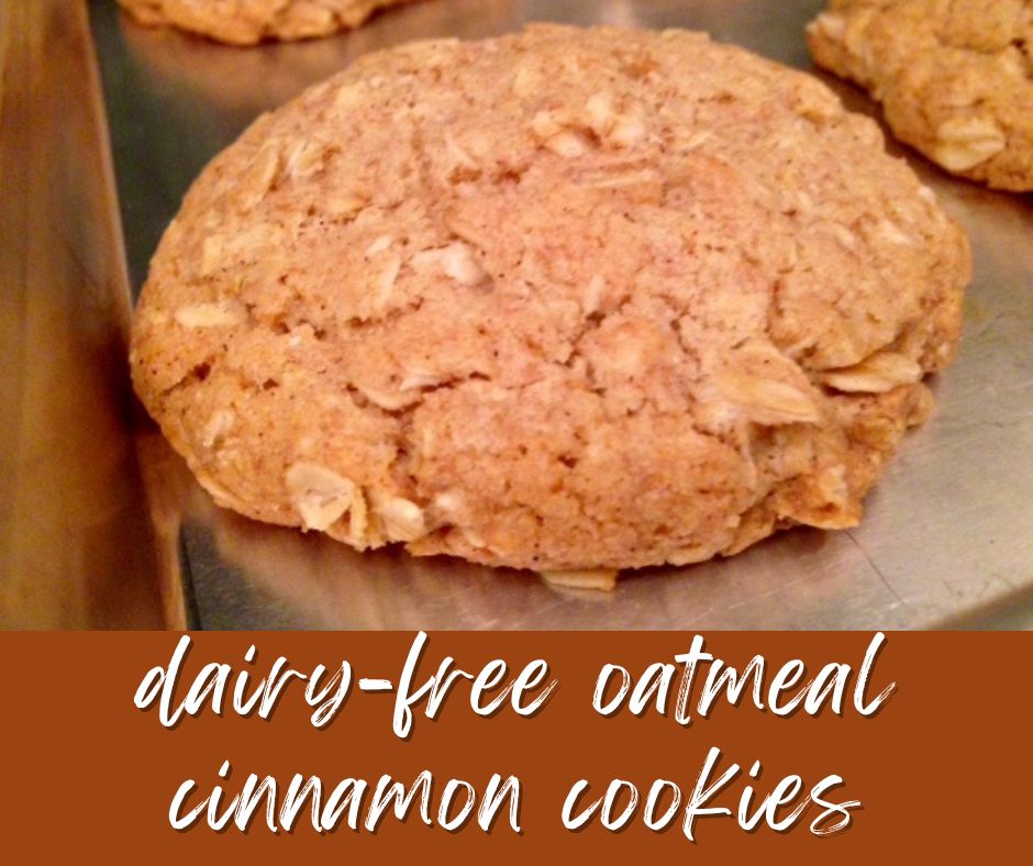 Easy Dairy-Free Cinnamon Oatmeal Cookies | If you're looking for a dairy-free cookie recipe, these easy oatmeal cinnamon cookies are perfect for you...a delicious treat even with dietary restrictions!