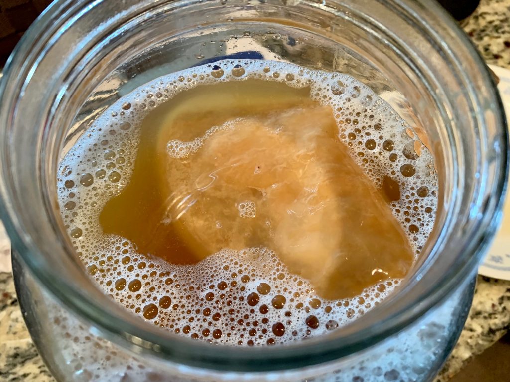 A scoby provides the yeast & bacteria needed to ferment your homemade kombucha
