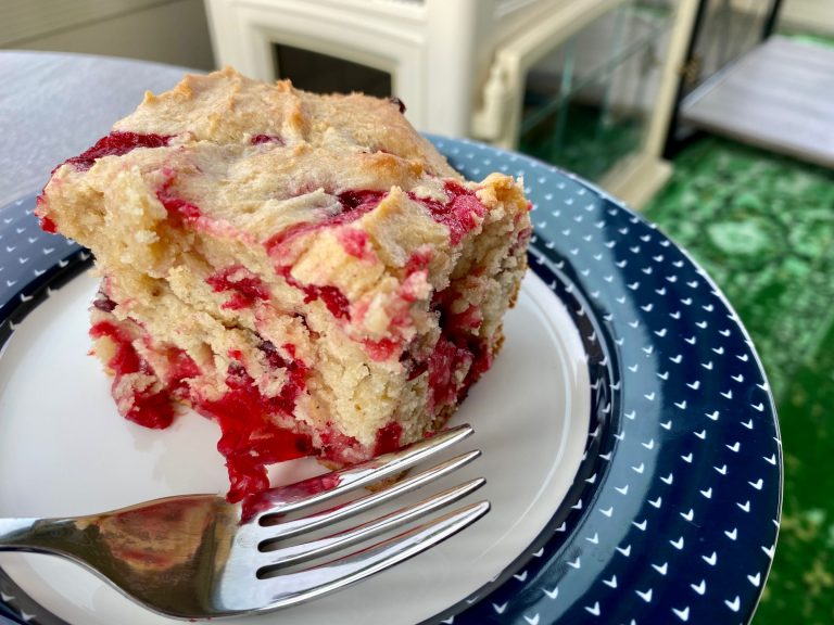 Easy Cranberry Snack Cake (a.k.a. My Platonic Ideal for a Cake)