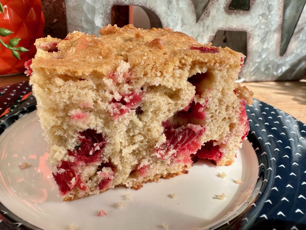 Cranberry Cake with Butter Sauce - Lora Bloomquist~Create & Ponder