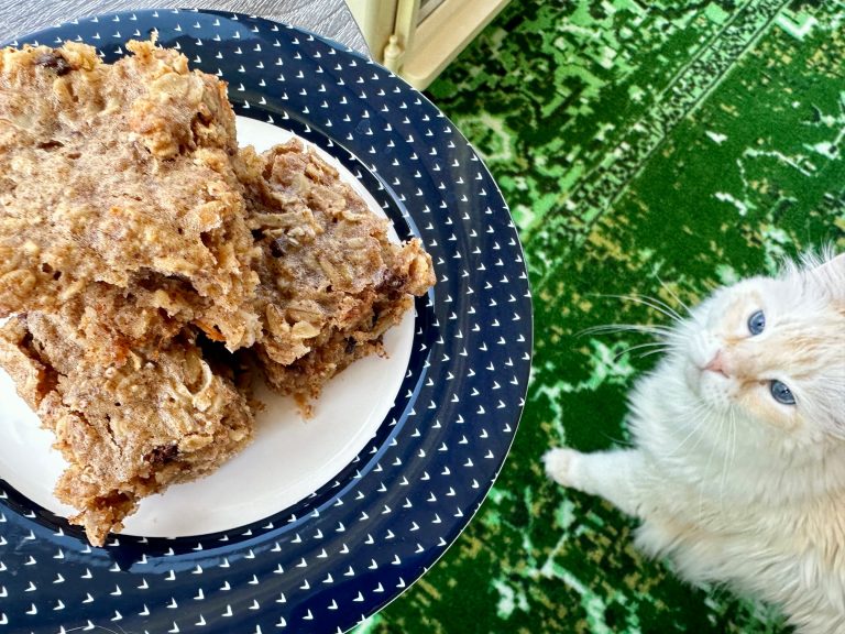 Mom’s Super Healthy Breakfast Bars (Gluten-Free, Dairy-Free)