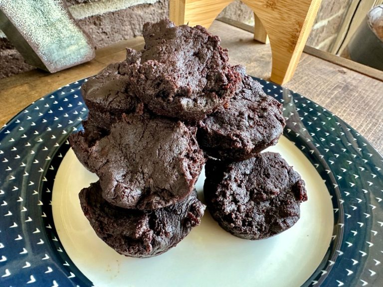 Super Healthy Fudgy Date Brownies (GF, vegan, nut-free)