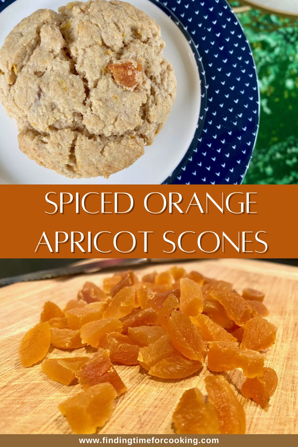 Spiced Orange Apricot Scones | These delicious easy scones are a hug in pastry form...warm spices, bright citrus notes, tart apricot, & a tender crumb make this the perfect cozy breakfast! This recipe makes 4-5 scones, but you can easily double to make a "full" batch. Scones are a great lazy brunch recipe! I give both regular and gluten-free scone recipe options here. #scones #breakfastrecipe #brunch #gf