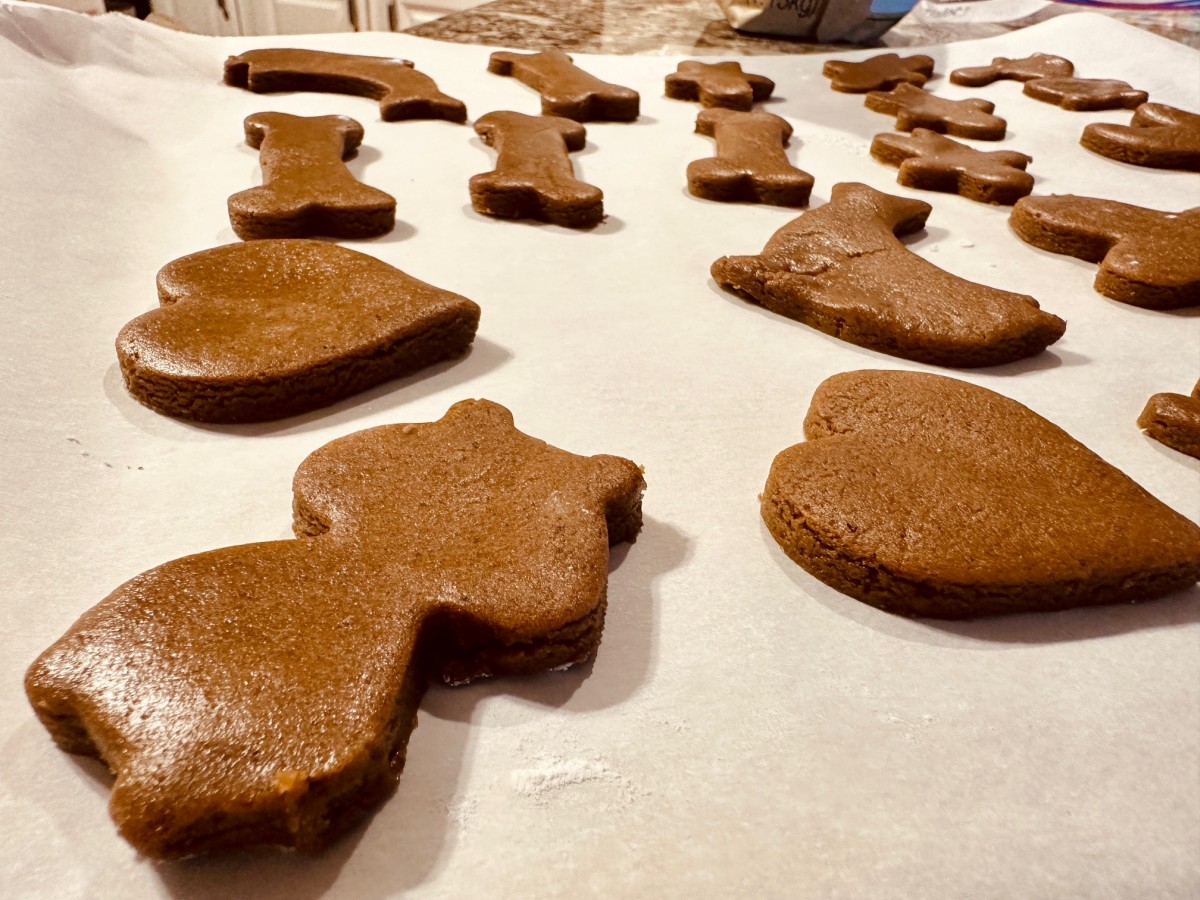 gluten-free vegan nut-free gingerbread cookie dough being cut out with shapes - gingerbread men, cats, bones, dolphins, hearts