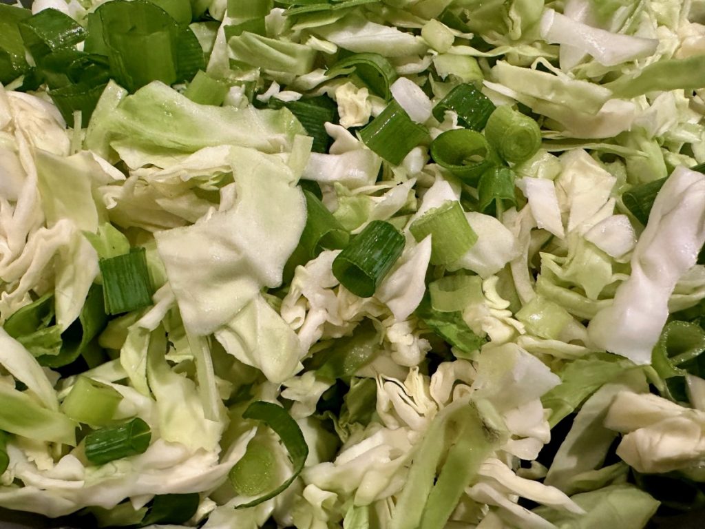 shredded cabbage & green onions up close