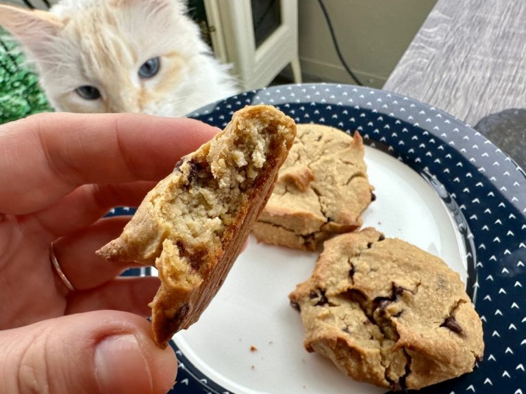 Blood Orange Chickpea Chocolate Chip Cookies