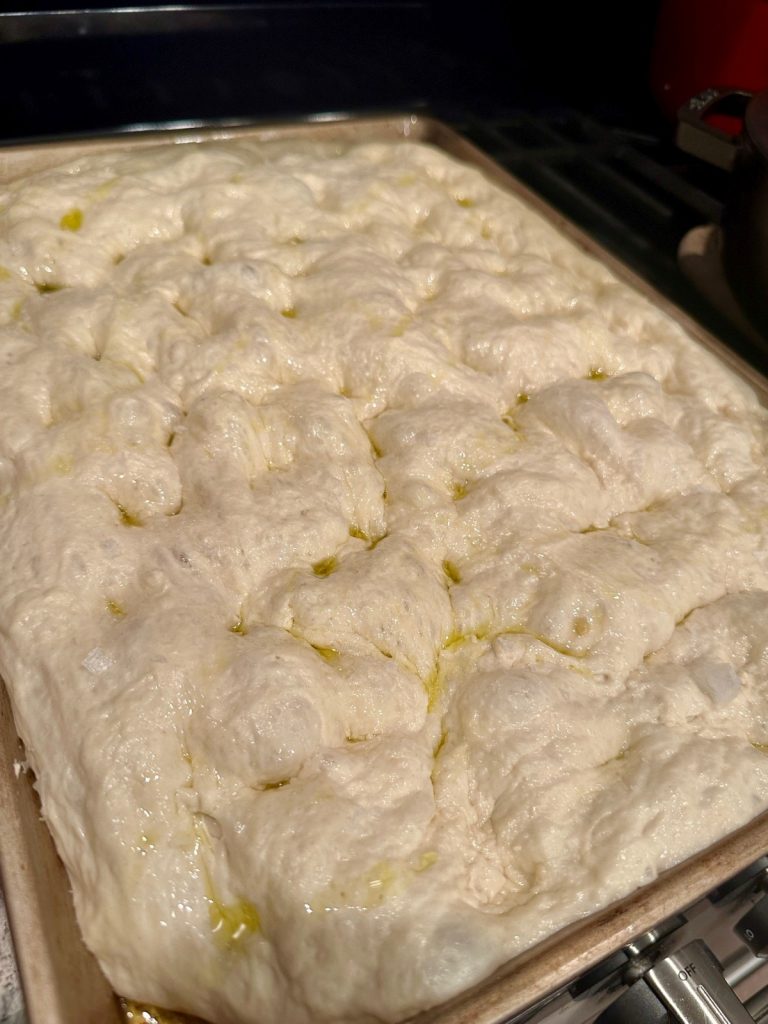 beautifully dimpled focaccia dough 