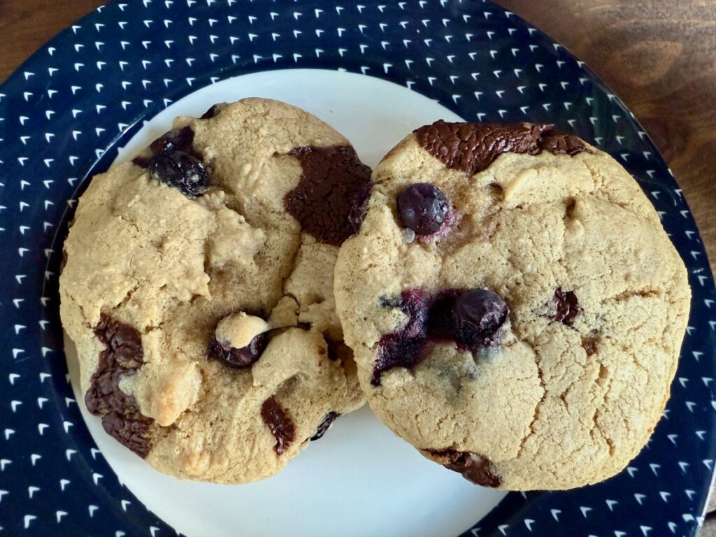 These blueberry dark chocolate chip cookies are the perfect summer cookie recipe, & can be either regular cookies or a skillet cookie!