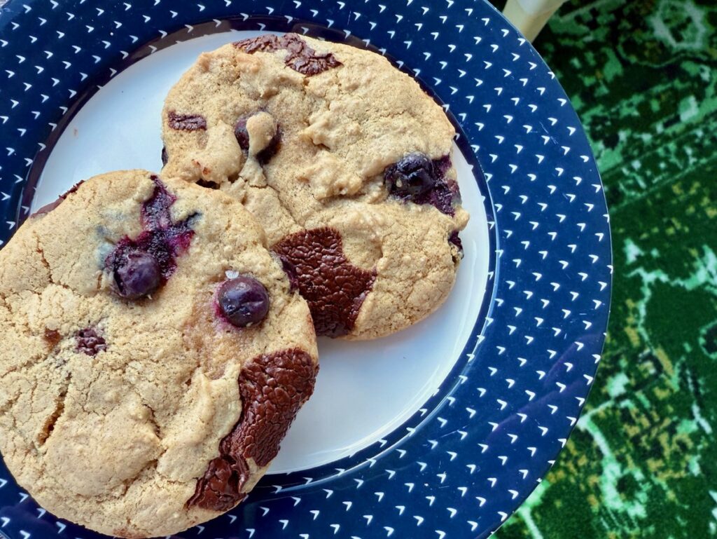 These blueberry dark chocolate chip cookies are the perfect summer cookie recipe, & can be either regular cookies or a skillet cookie!