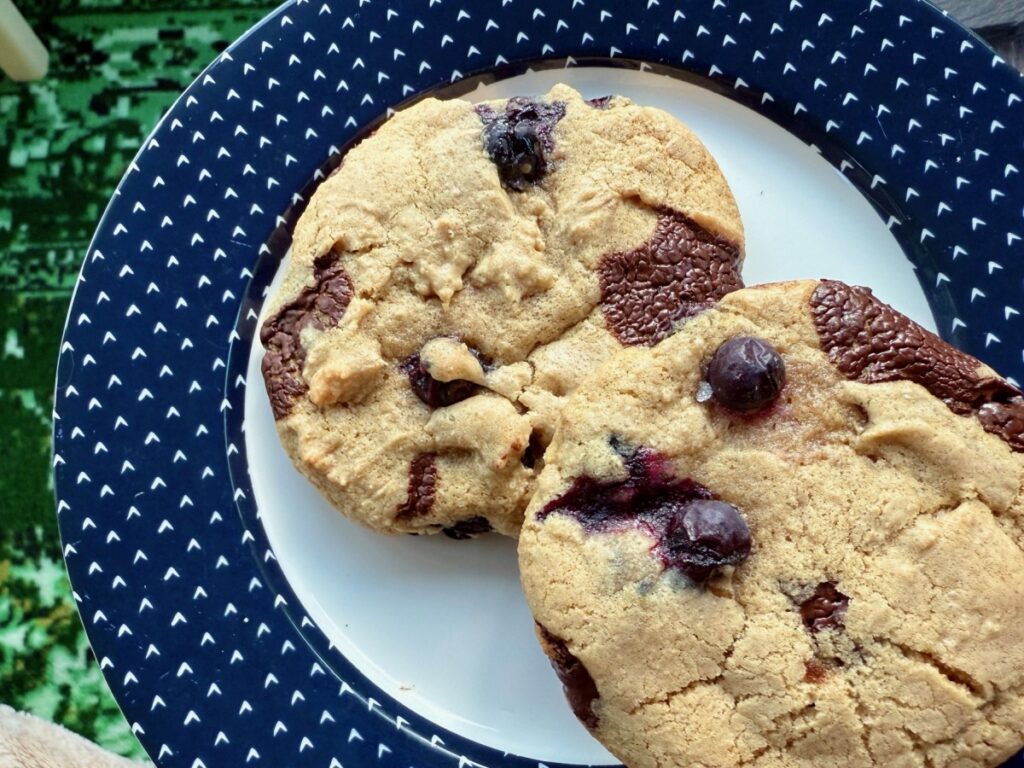 Blueberry Dark Chocolate Chip Cookies | This is a perfect summer cookie recipe, either regular cookies or a skillet cookie! I've never been the biggest fan of regular chocolate chip cookies, but these blueberry chocolate cookies level everything up a bit, balancing out some of the sickly-sweet flavors of the original. Blueberry cookies, summer cookie recipes, easy cookie recipes, blueberry recipes.