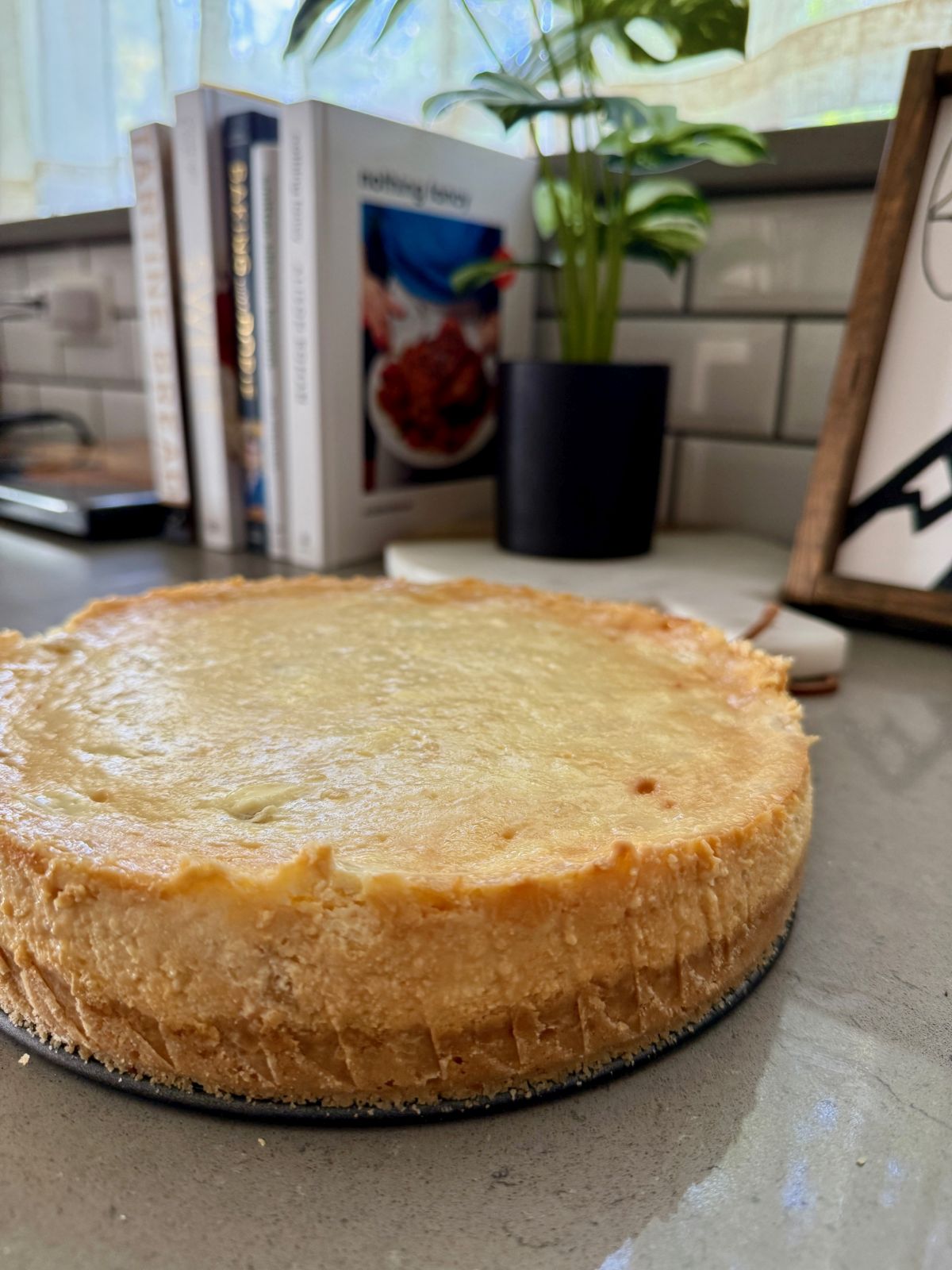 Refreshing Pineapple Cheesecake with Macadamia Shortbread Crust | This Hawaiian-inspired baked cheesecake is really easy to make, and a perfect make-ahead dessert (since it needs to chill several hours).  It's subtle and not super sweet, with an amazing creamy texture and crumbly shortbread crust.  This is perfect any time of year, a great summer dessert or a spot of sunshine as a winter dessert.  #cheesecake #pineapple #makeahead #dessertrecipes