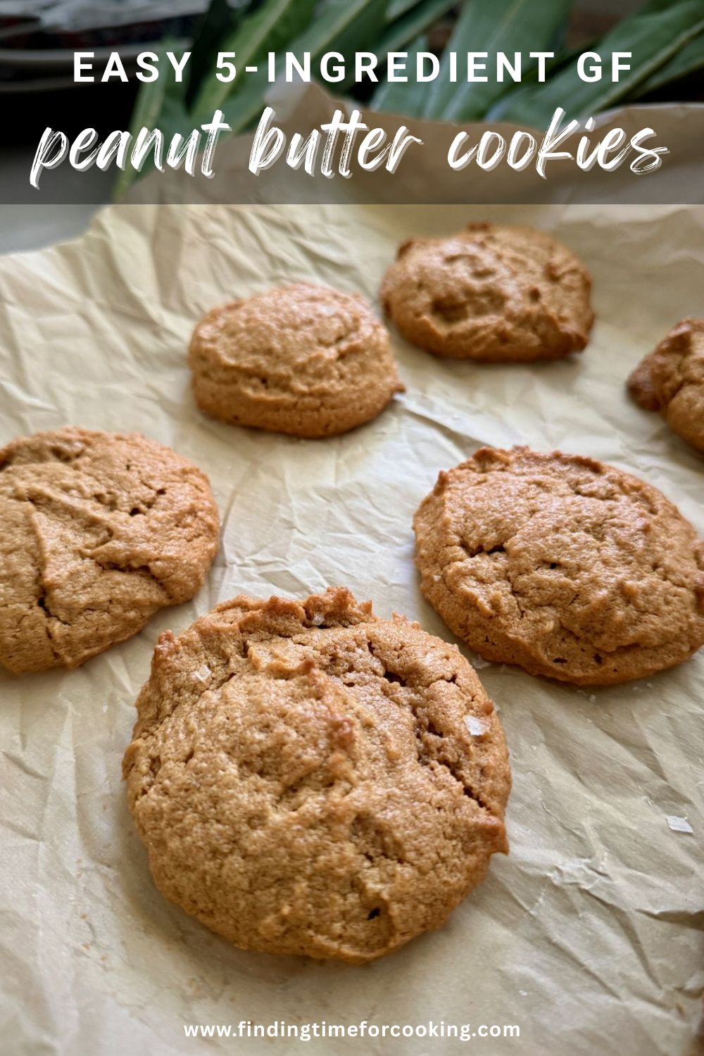 Easy 5-Ingredient Peanut Butter Cookies (Gluten-Free, Dairy-Free) | These super easy 5-ingredient peanut butter cookies are delicious, and naturally gluten-free and dairy-free. You can whip them up in just a few minutes and have them ready for unexpected company or an impromptu gathering in just over a half hour! Easy potluck dessert idea, easy dessert recipe, easy cookie recipe, gluten-free cookies. 