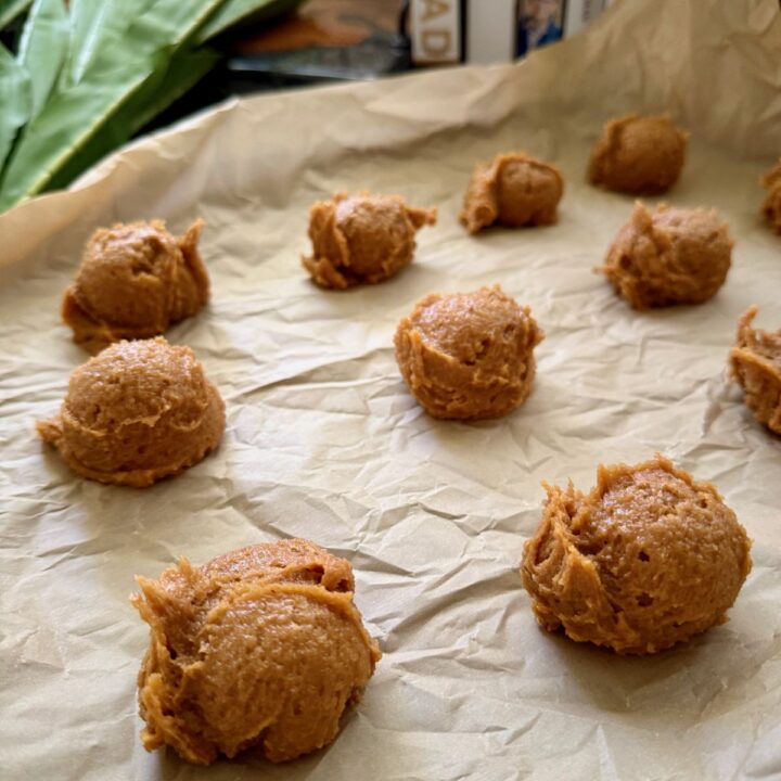 5-Ingredient Peanut Butter Cookies (GF, DF)