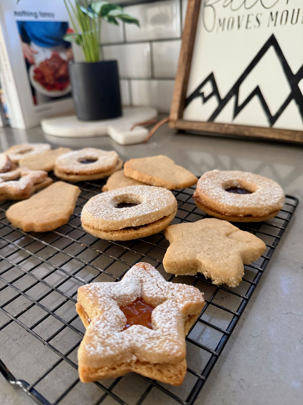 spiced hazelnut linzer cookies with morello cherry jam and apricot