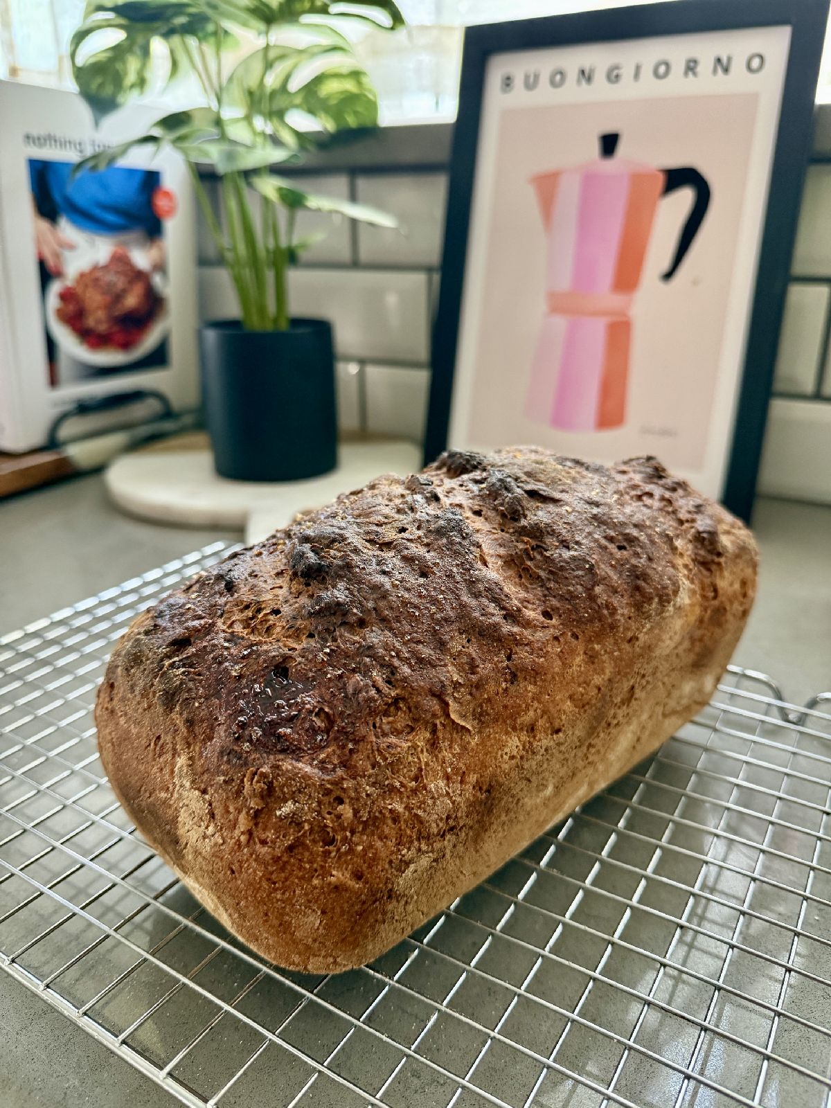 This gluten-free sandwich bread is the best I've ever made...it's incredibly soft and squishy, and sturdy enough to make sandwiches. It's super easy to make, stays soft for days, and will finally let GF people have normal, delicious sandwiches and toast!