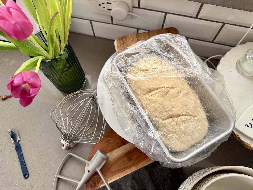 gluten-free sandwich bread dough rising